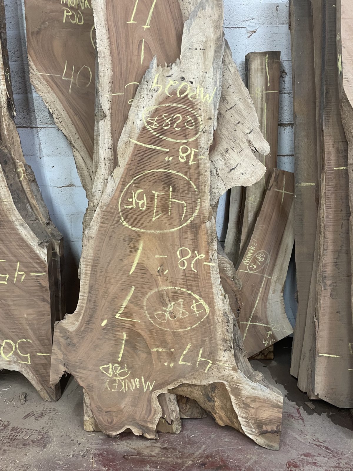 Monkey Pod/Parota MP024 47" wide x 7' long OddWood Lumber